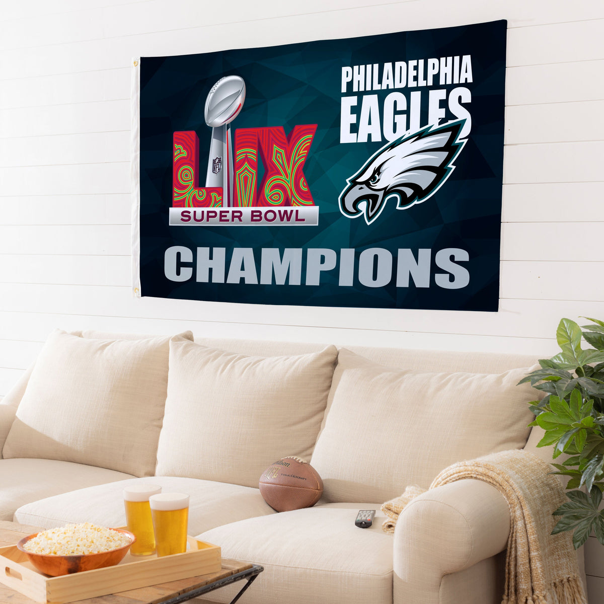 Dinnerware, Philadelphia Eagles Super Bowl 59 Champions for Everyday Meals and Table Settings image 1