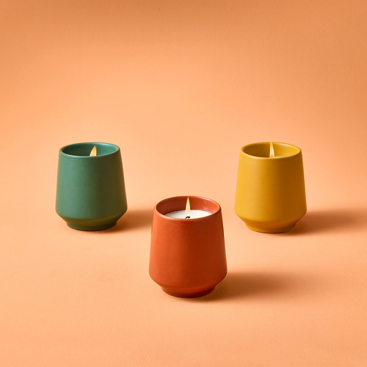 Decorative Candle, Rooted Candles for Living Rooms, Bedrooms and Relaxing Evenings, 4 Plant Type Options image 1