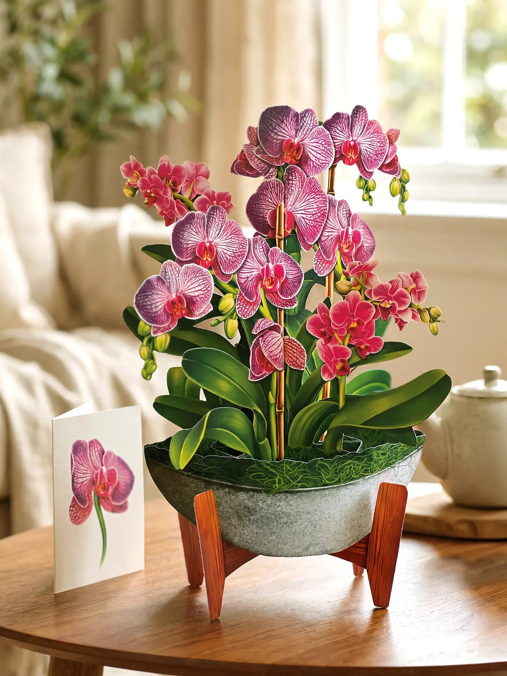 Indoor House Plant, Orchid Oasis for Shelves, Desks and Living Spaces, Designed for Windowsills, Home Offices and Indoor Decor image 1