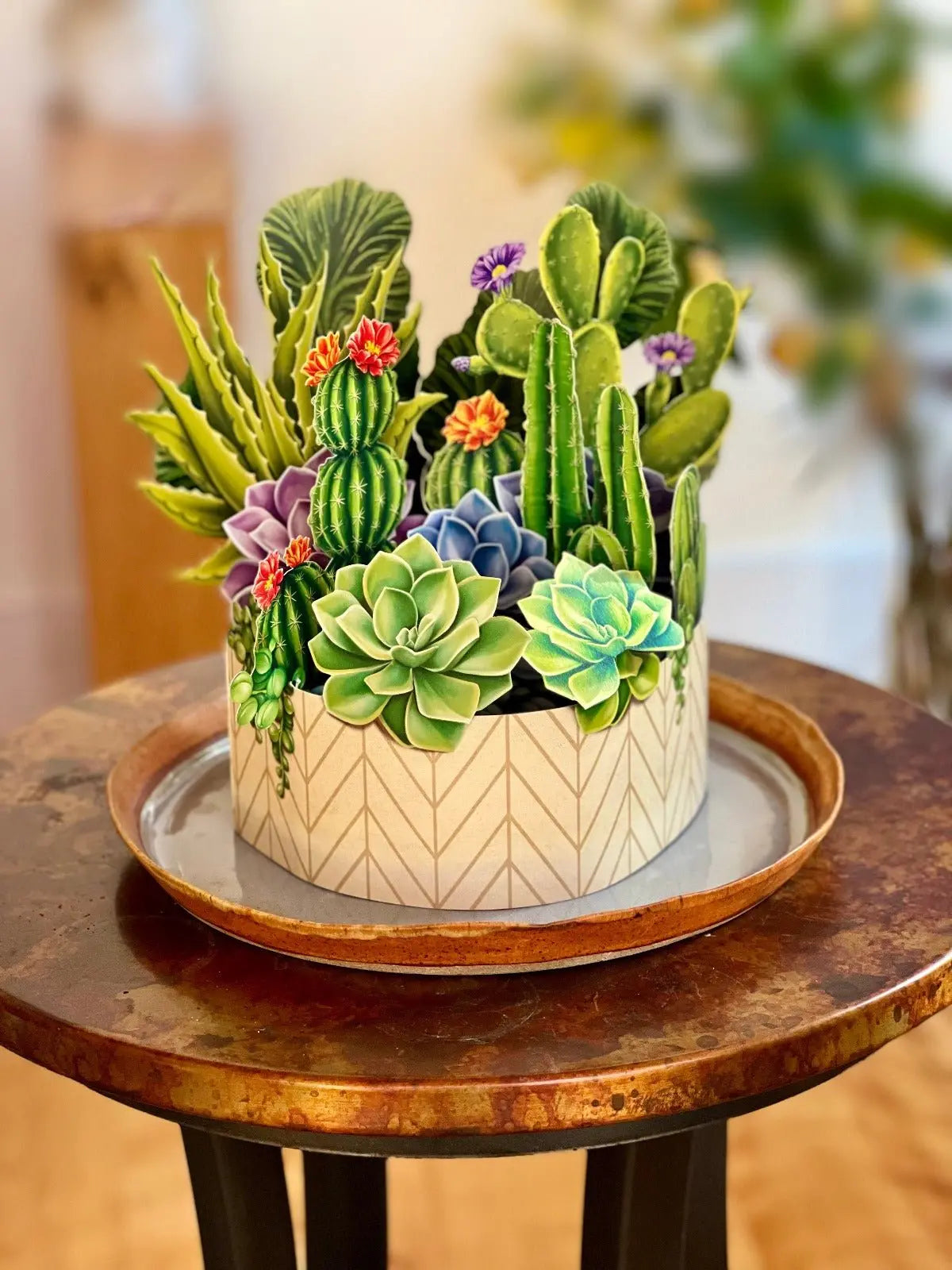 Indoor House Plant, Cactus Garden for Windowsills, Home Offices and Indoor Decor, Designed for Shelves, Desks and Living Spaces image 1