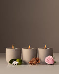 Decorative Candle, Mini Discovery Set, Organic Cotton Shell for Entryways, Mantels and Everyday Home Ambience image 1