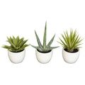 Indoor House Plant, Southwest Artificial Succulent Collection Set for Shelves, Desks and Living Spaces image 1