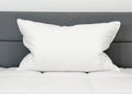 Bed Pillow, 50% White Goose Down 50% White Goose Feather, Hypoallergenic Comfort for Sleeping, Reading and Bedroom Comfort, 4 Size Options image 1