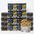 Wholesale All-in-One Mushroom XL Grow Bags (6 lbs) for Manure Loving Mushrooms (Case of 8) image 1