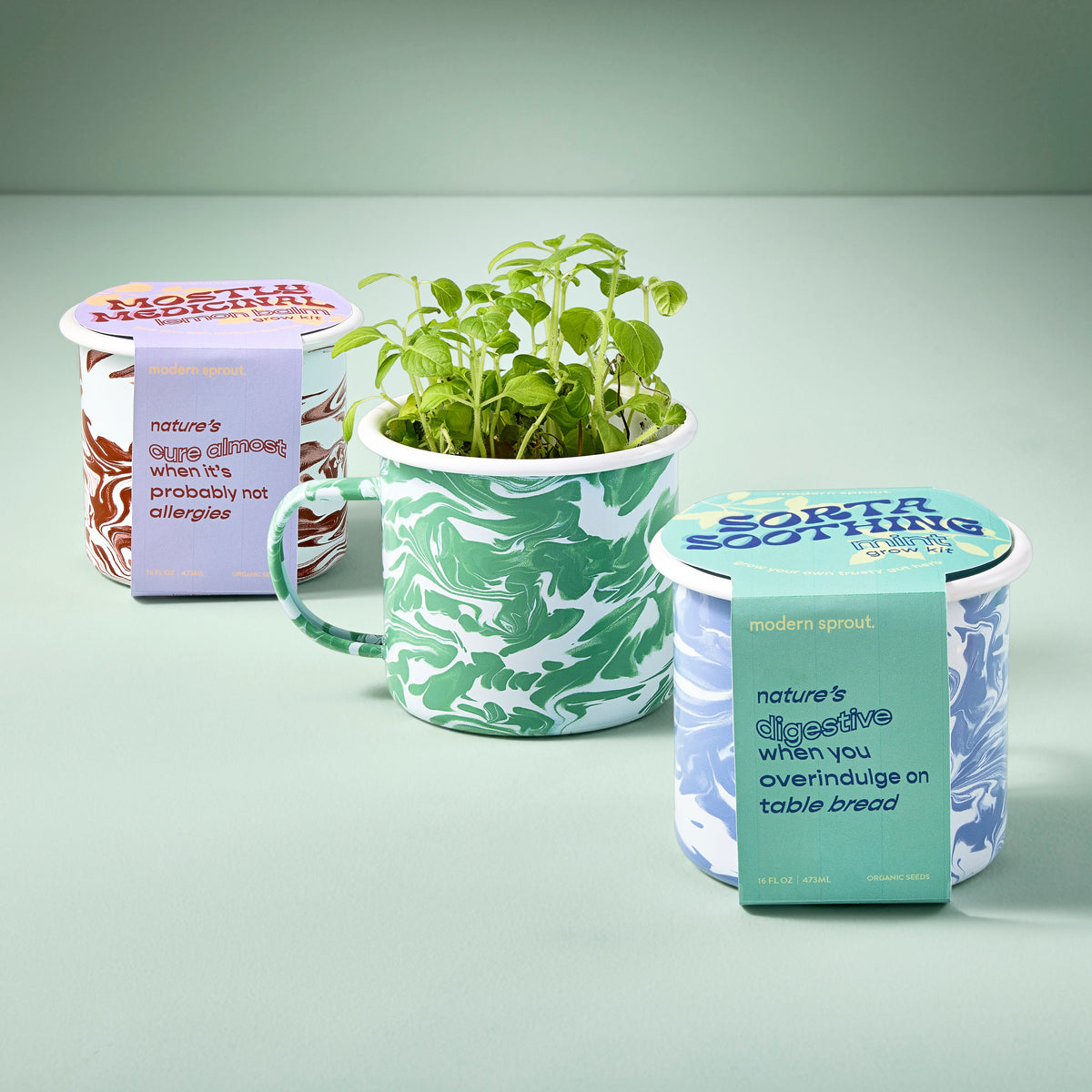 Coffee Mug, Altered Herb Grow Kits for Everyday Drinks, Home and Entertaining, Designed for Kitchen Tables, Workspaces and Daily Hydration image 1