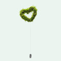 Floating Moss Heart image 1