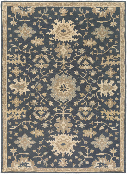 Area Rug, Caesar CAE 1154 for Hallways, Dining Spaces and Home Decor, 25 Size Options, Designed for Living Rooms, Bedrooms and Entryways image 1