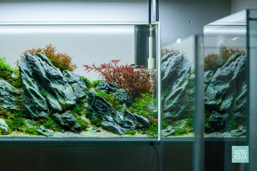 Aquarium CO2 Diffuser, Neo Curved Special, Rimless Tank Compatible, Acrylic Construction for Planted Tank CO2 Distribution and Aquascaping image 2