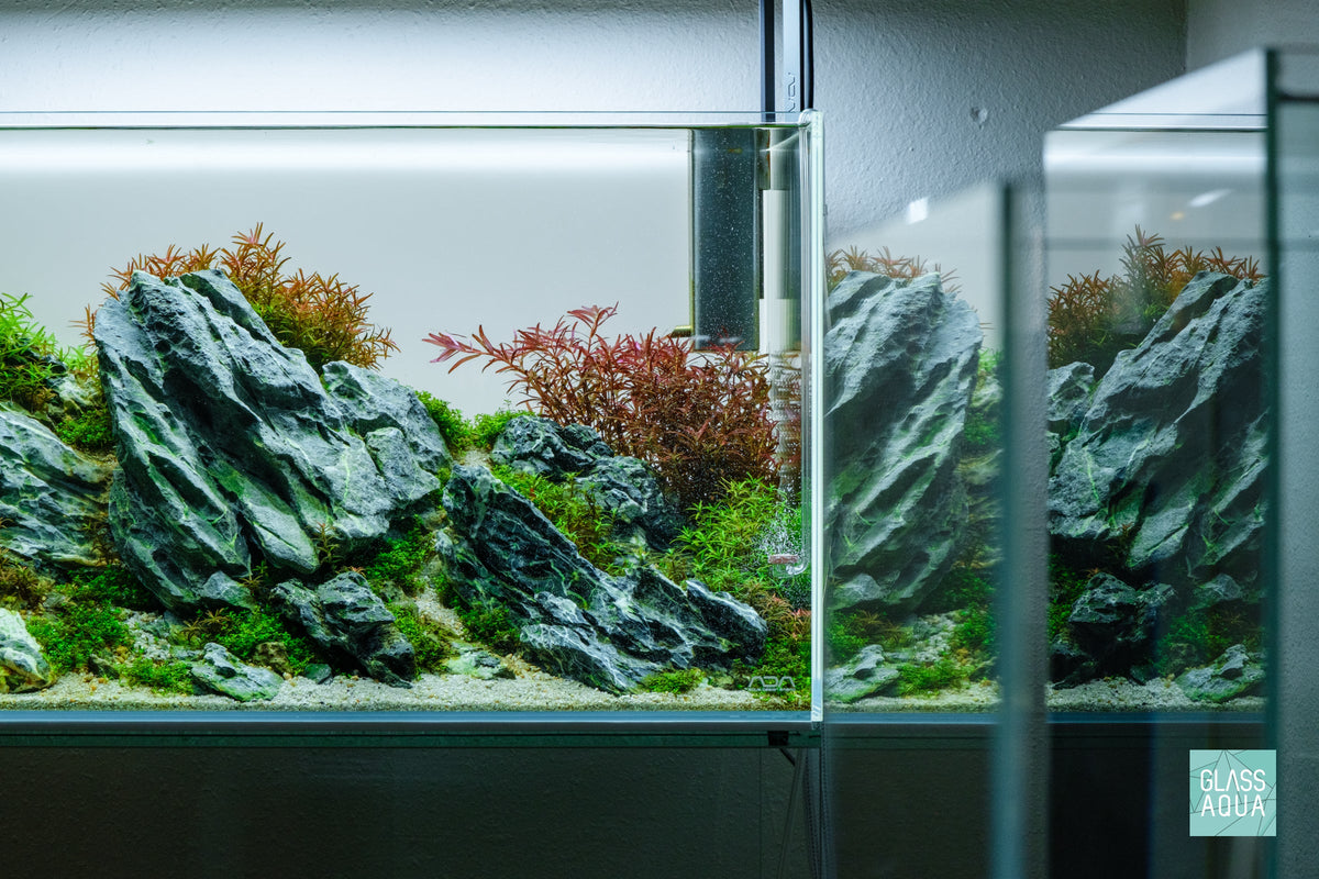 Aquarium CO2 Diffuser, Neo Curved Special, Rimless Tank Compatible, Acrylic Construction for Planted Tank CO2 Distribution and Aquascaping image 2