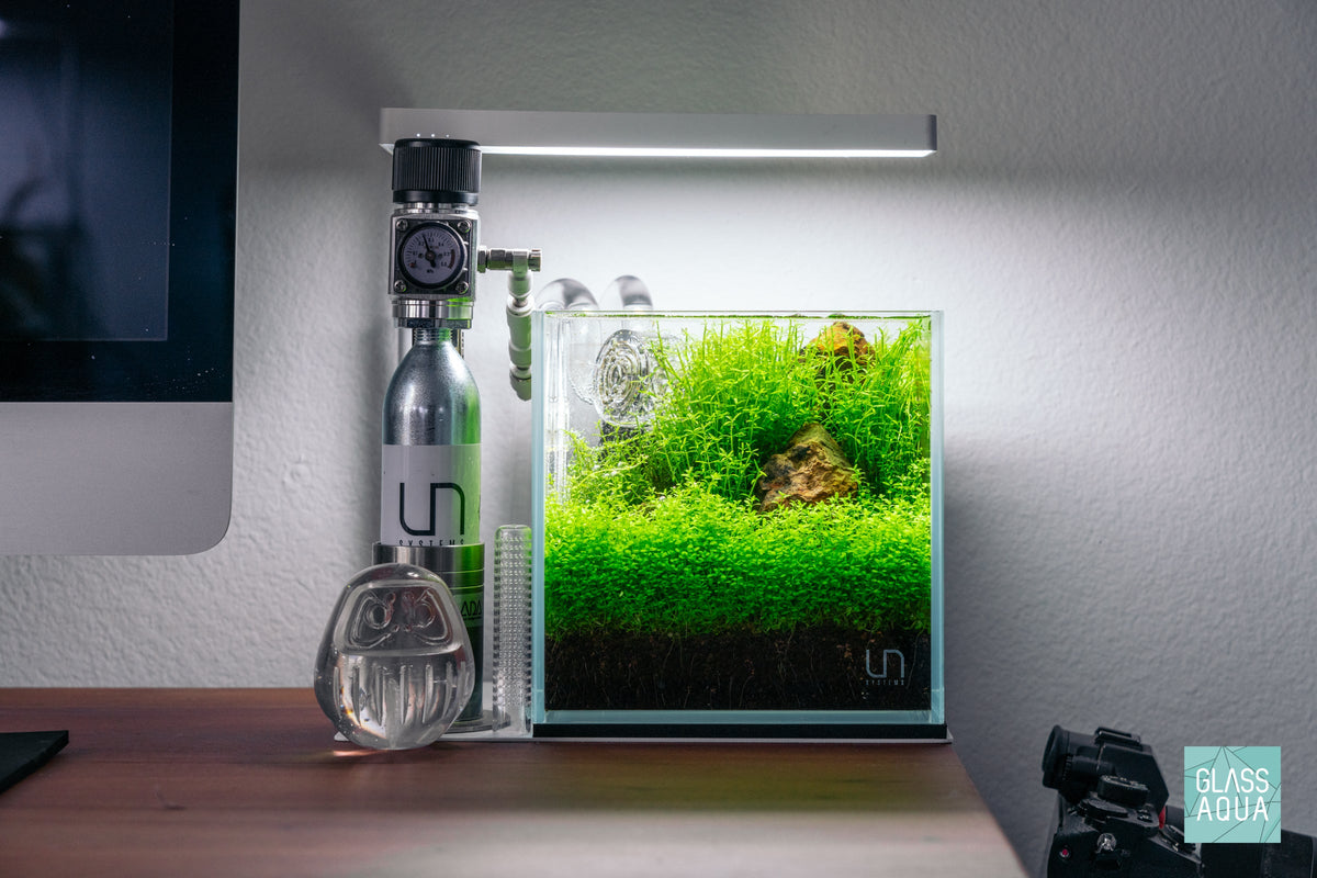 Rimless Glass Aquarium, UNS Cube, Silicone Construction, Rimless Tank Compatible for Planted Tanks, Shrimp Habitats and Aquascaping image 2