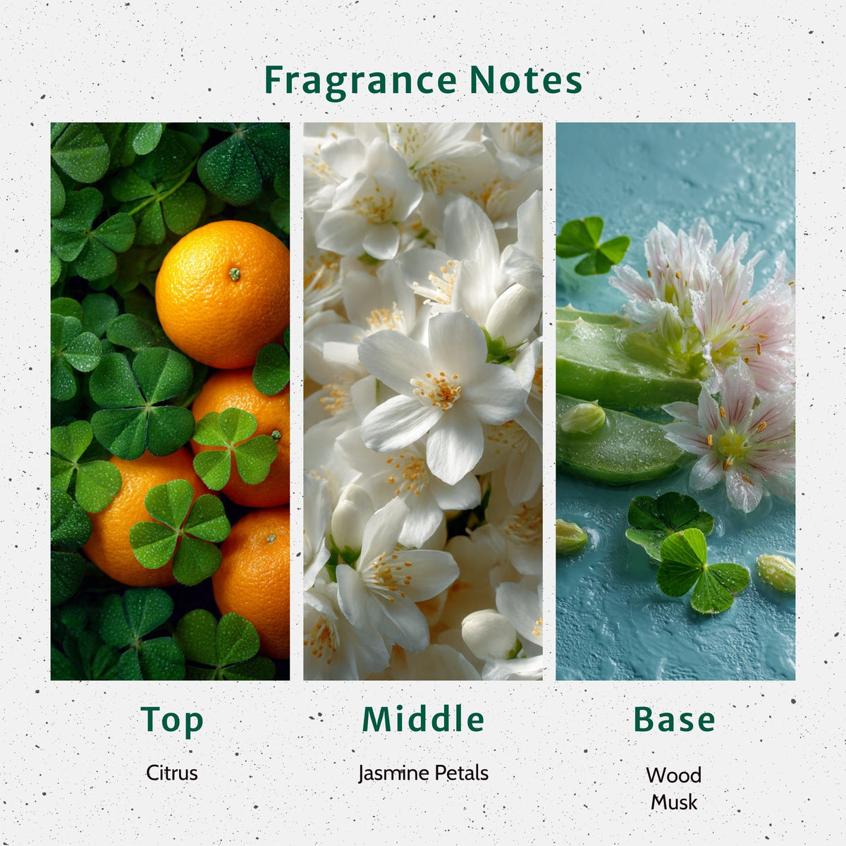 Home Fragrance Oil, Green Clover and Aloe for Bedrooms, Living Rooms and Everyday Home Ambience, 5 Size Options image 2