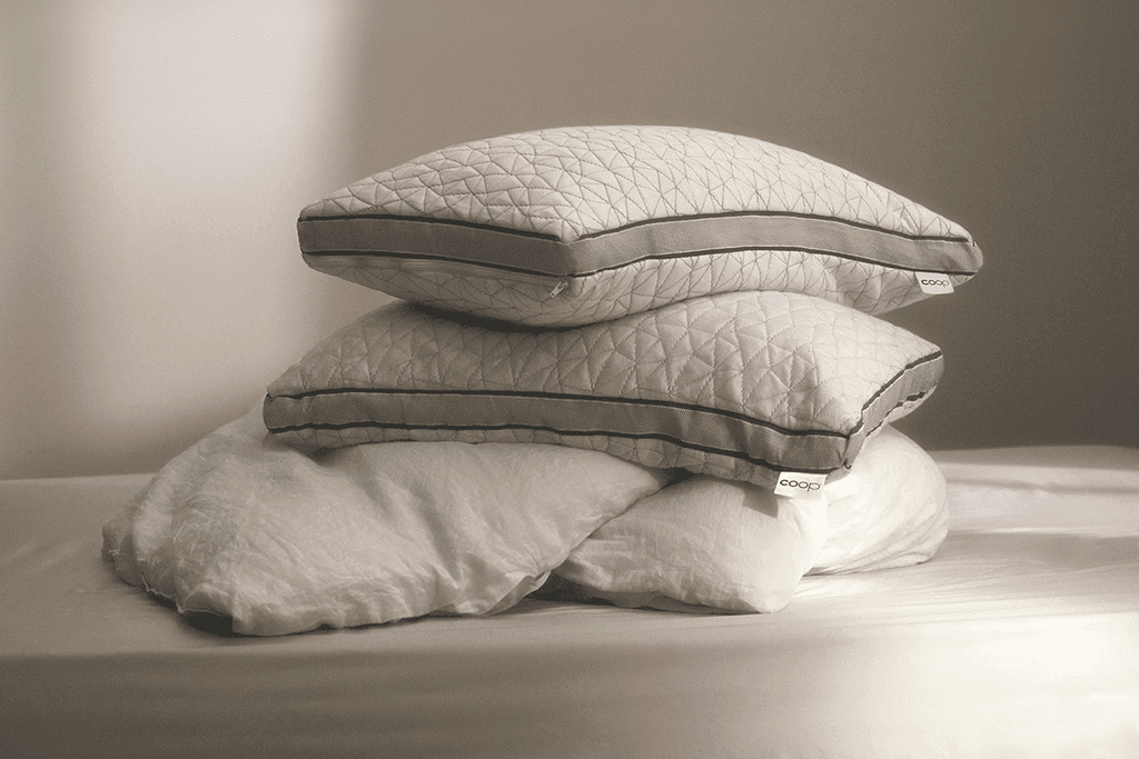 Pillowcase, Eden, Breathable Construction for Everyday Bedding and Bedroom Refreshes, 2 Size Options image 2