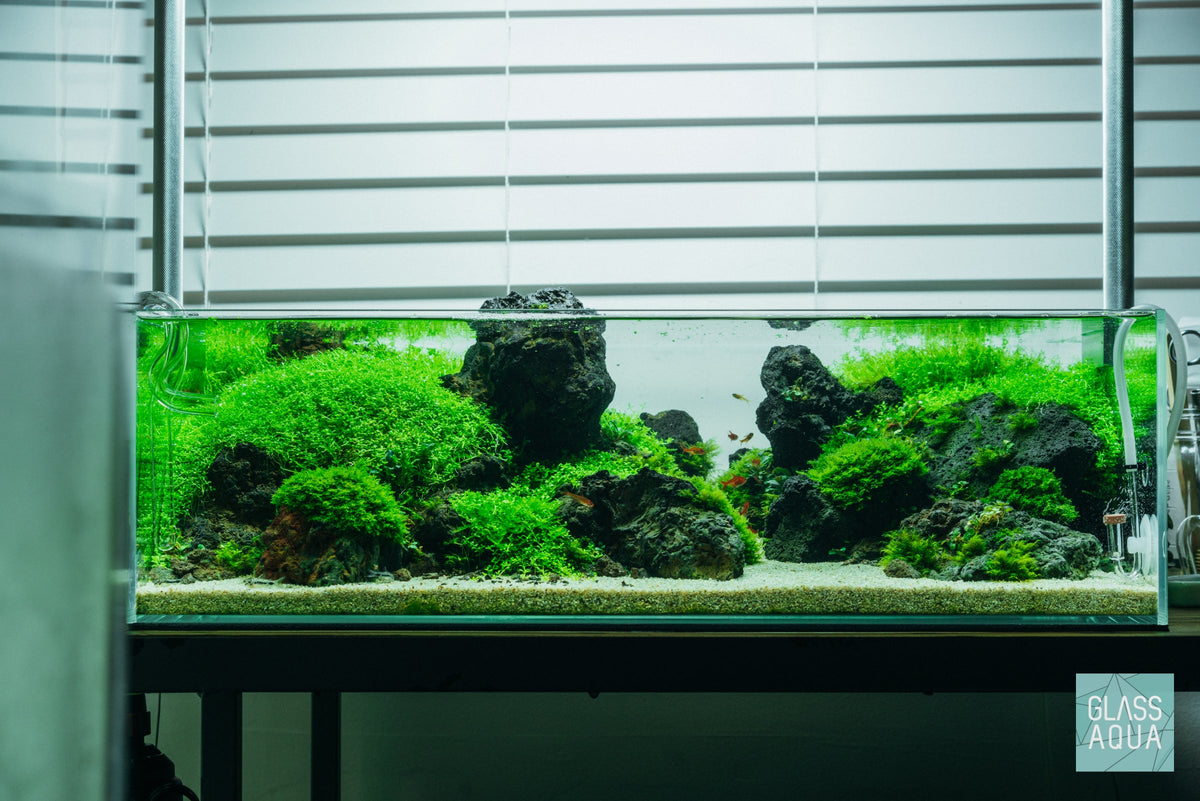 Rimless Glass Aquarium, UNS Shallow, Silicone Construction, Rimless Tank Compatible for Planted Tanks, Shrimp Habitats and Aquascaping image 2