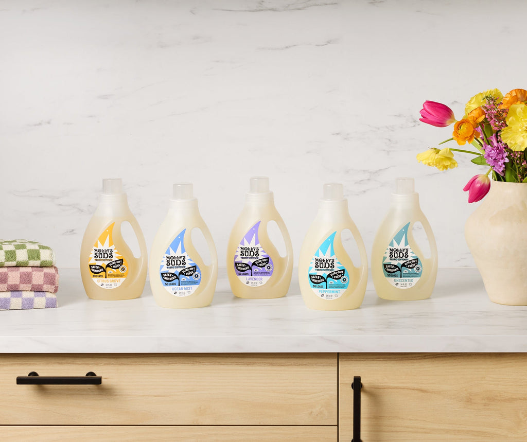 Laundry Care, Liquid Fabric Softener for Laundry Rooms, Linens and Daily Freshening, 5 Scent Options image 2