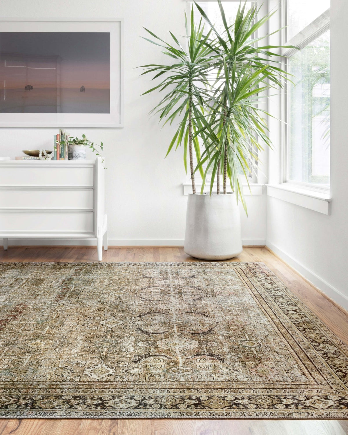 Area Rug, Layla LAY 03 Olive Charcoal for Hallways, Dining Spaces and Home Decor, 11 Size Options image 2