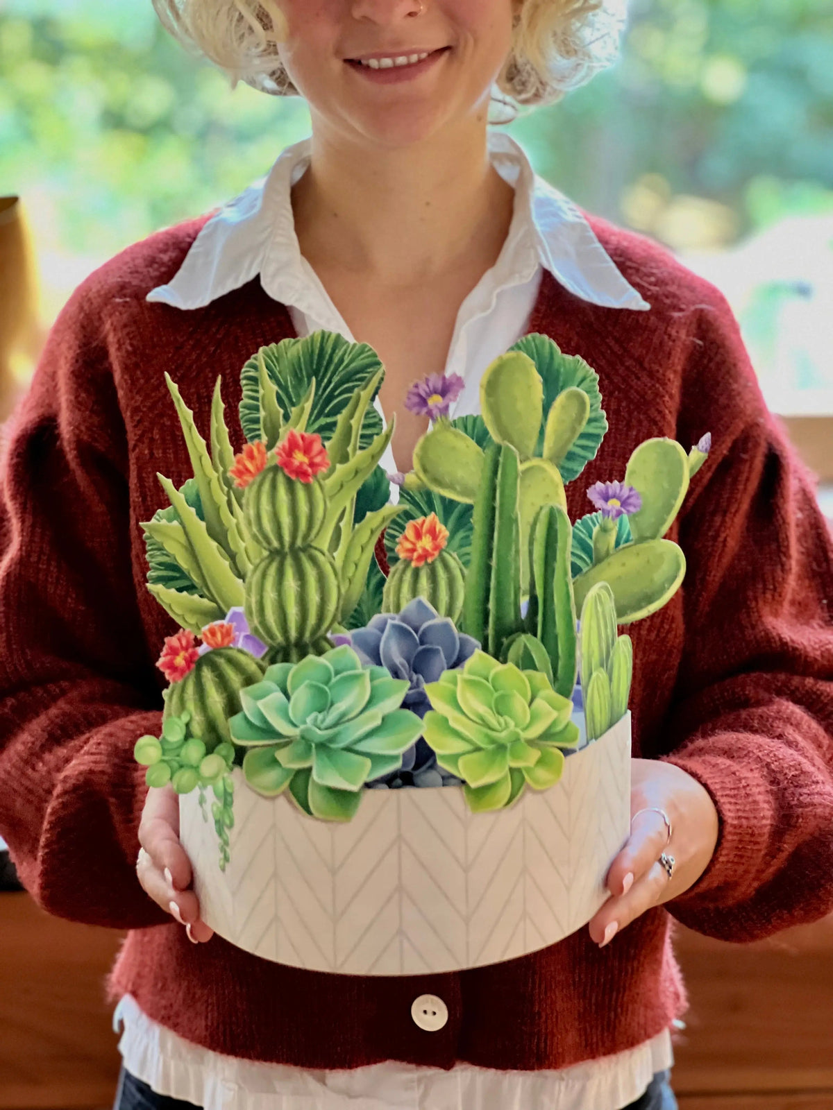 Indoor House Plant, Cactus Garden for Windowsills, Home Offices and Indoor Decor, Designed for Shelves, Desks and Living Spaces image 2