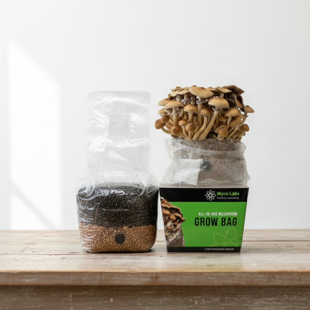 Mushroom Grow Bag, All in One (4 lbs) for Manure Loving Mushrooms for Home Mushroom Growing and Controlled Cultivation image 2