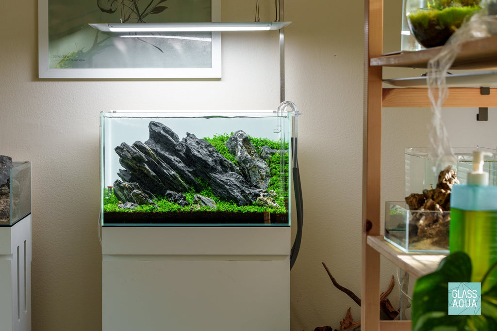 Rimless Glass Aquarium, UNS Standard, Silicone Construction, Rimless Tank Compatible for Planted Tanks, Shrimp Habitats and Aquascaping image 2