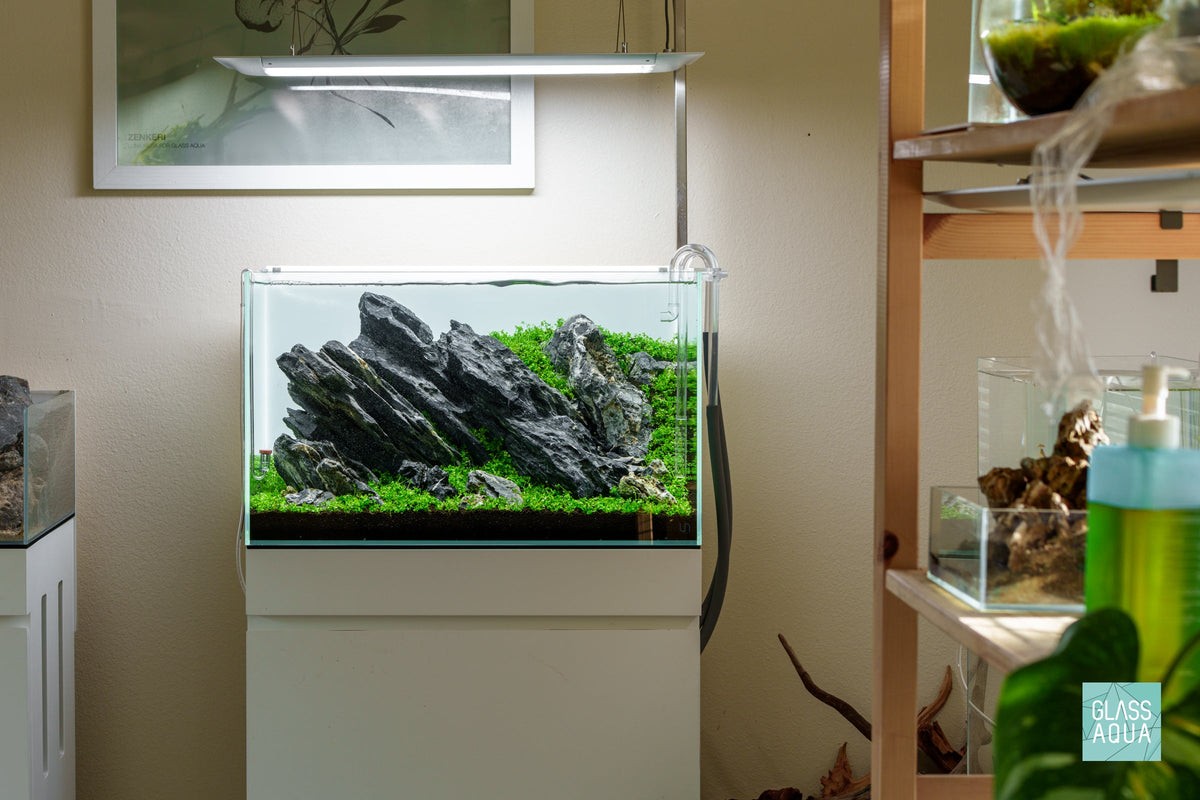 Rimless Glass Aquarium, UNS Standard, Silicone Construction, Rimless Tank Compatible for Planted Tanks, Shrimp Habitats and Aquascaping image 2