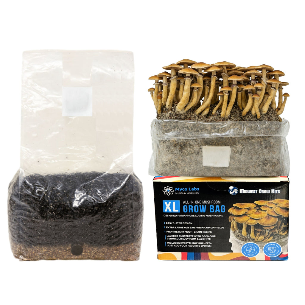 Wholesale All-in-One Mushroom XL Grow Bags (6 lbs) for Manure Loving Mushrooms (Case of 8) image 2