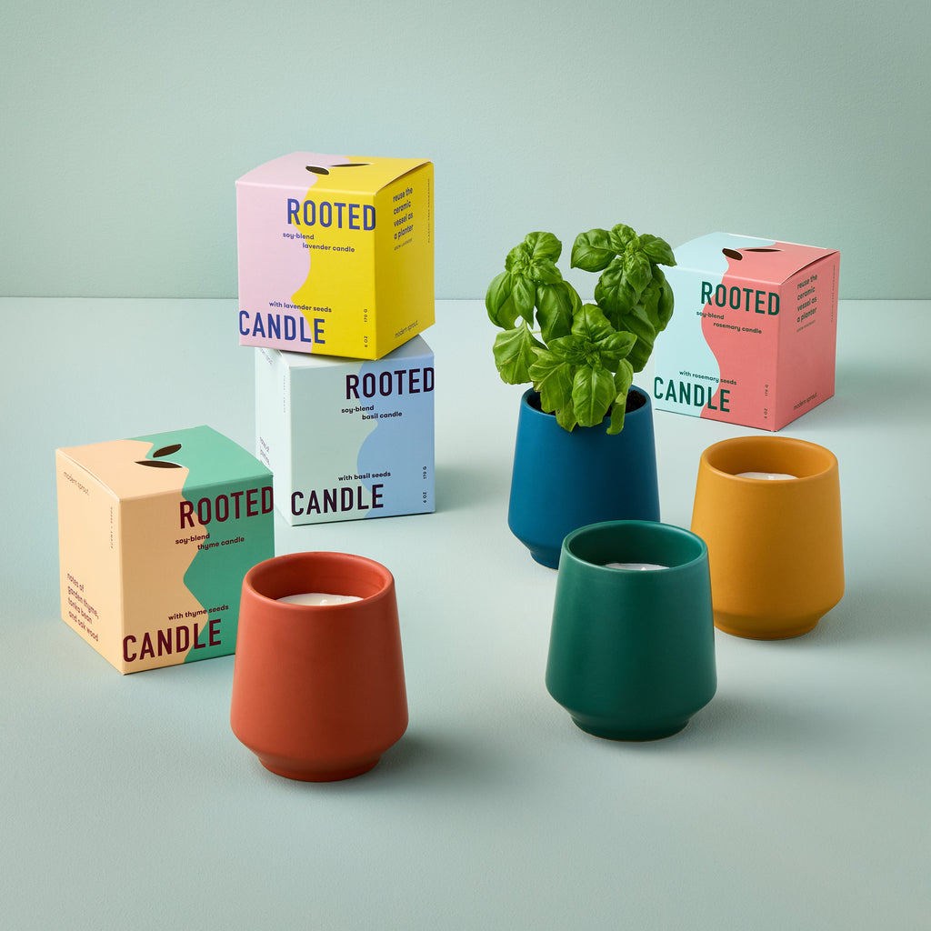 Decorative Candle, Rooted Candles for Living Rooms, Bedrooms and Relaxing Evenings, 4 Plant Type Options image 2