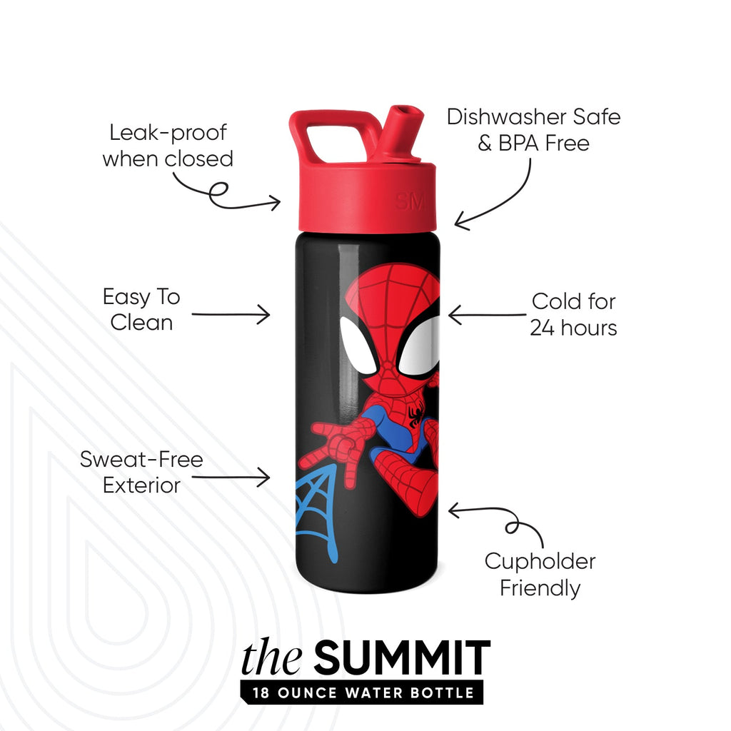 Reusable Drink Bottle, Summit Kids Water with Straw Lid, Stainless Steel Construction for Work, Travel and Everyday Hydration image 2