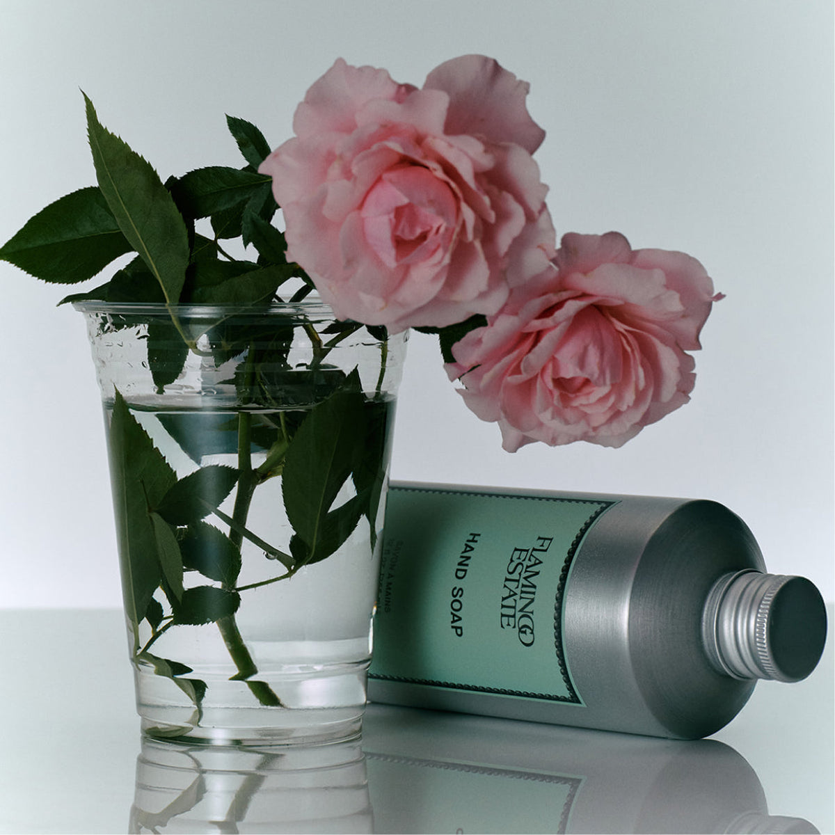 Indoor House Plant, Jasmine Damask Rose Hand Soap for Windowsills, Home Offices and Indoor Decor image 2