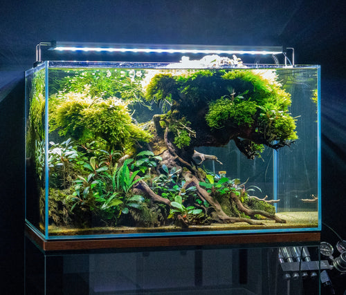 Aquarium LED Light, B Line Fixture, Lightweight Design, Adjustable Design for Freshwater Aquariums and Planted Tank Displays, 7 Size Options image 2