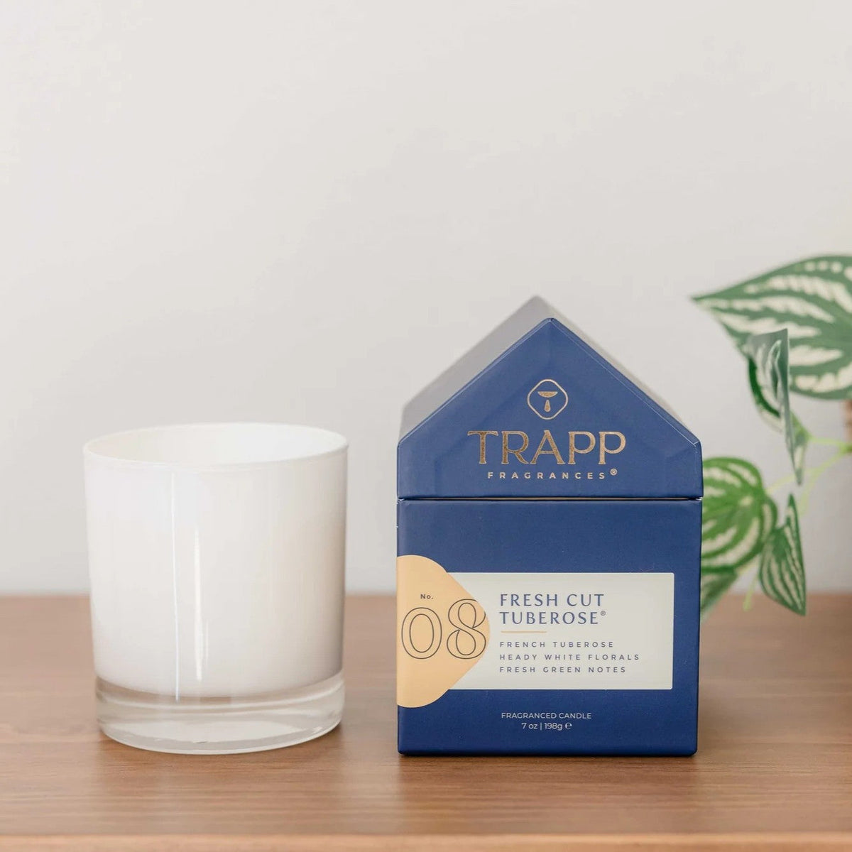 Decorative Candle, Fresh Cut Tuberose #8 for Living Rooms, Bedrooms and Relaxing Evenings, Designed for Everyday Home Use image 2