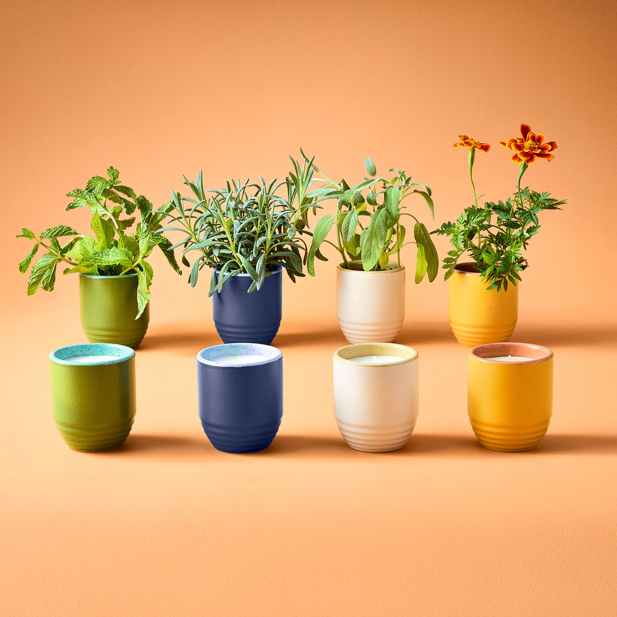 Decorative Candle, Garden Vibes Planter 2 in 1 for Entryways, Mantels and Everyday Home Ambience, 6 Plant Type Options image 2