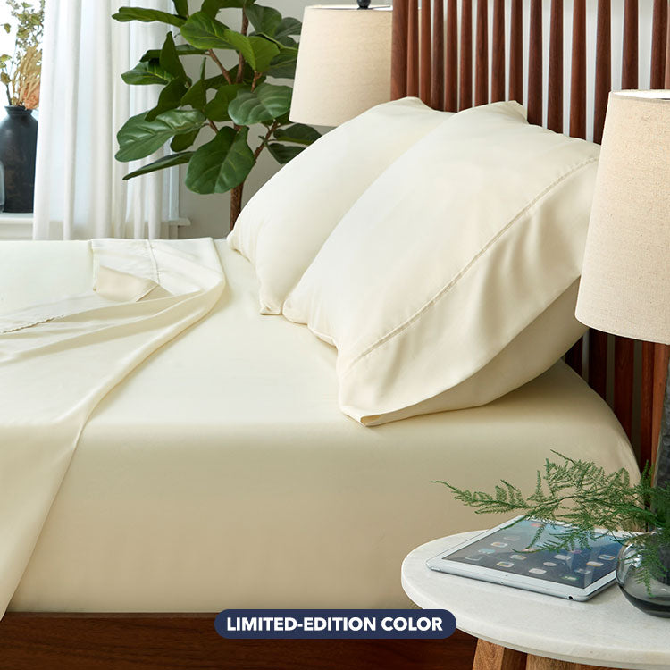 Pillowcase, Arctic Aire•MAX Morning Ivory for Everyday Bedding and Bedroom Refreshes, 2 Size Options image 2