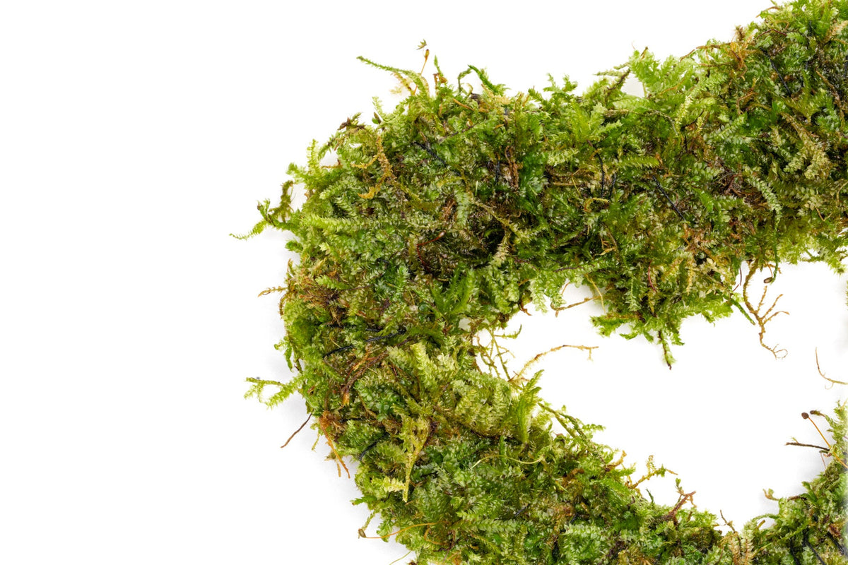 Floating Moss Heart image 3