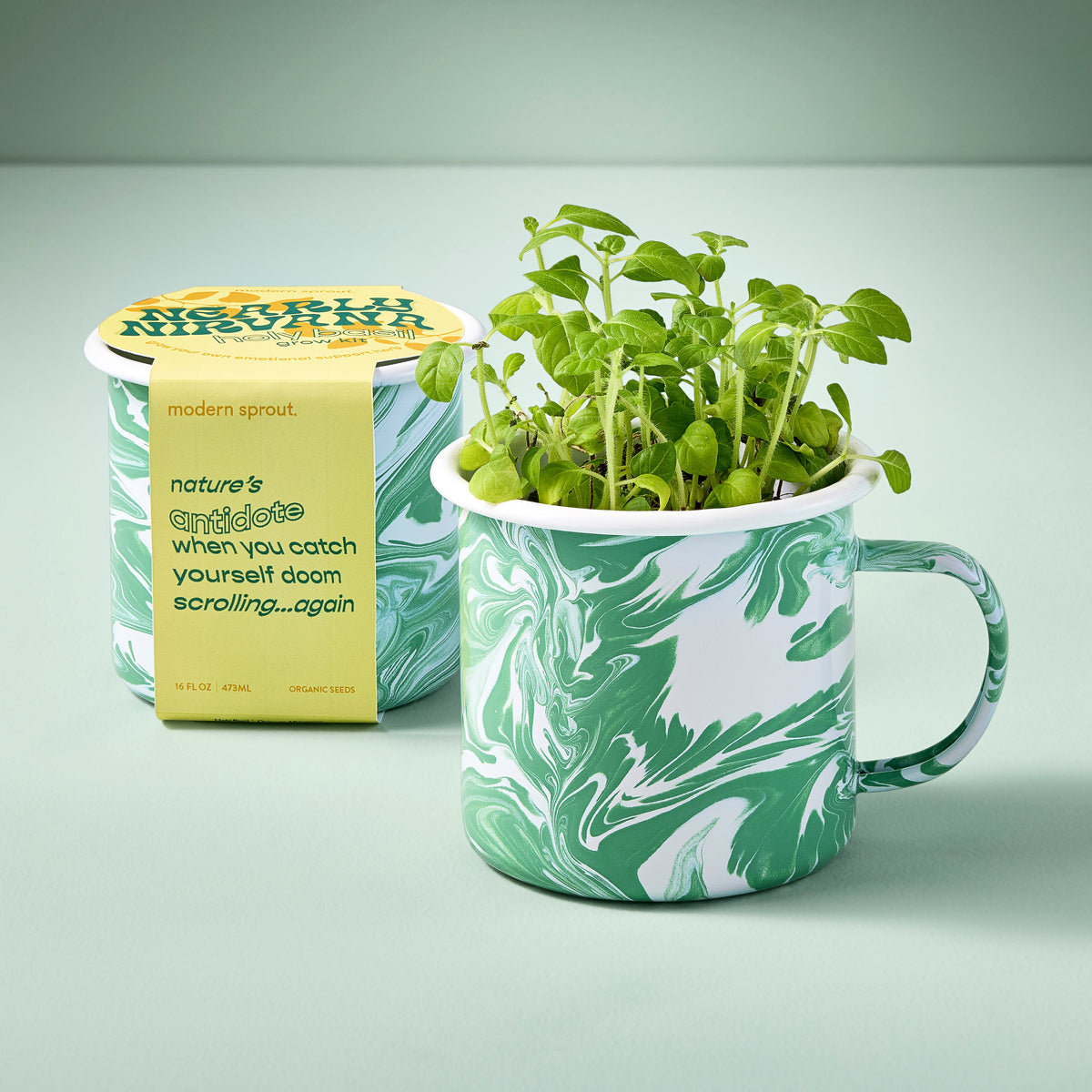 Coffee Mug, Altered Herb Grow Kits for Everyday Drinks, Home and Entertaining, Designed for Kitchen Tables, Workspaces and Daily Hydration image 3