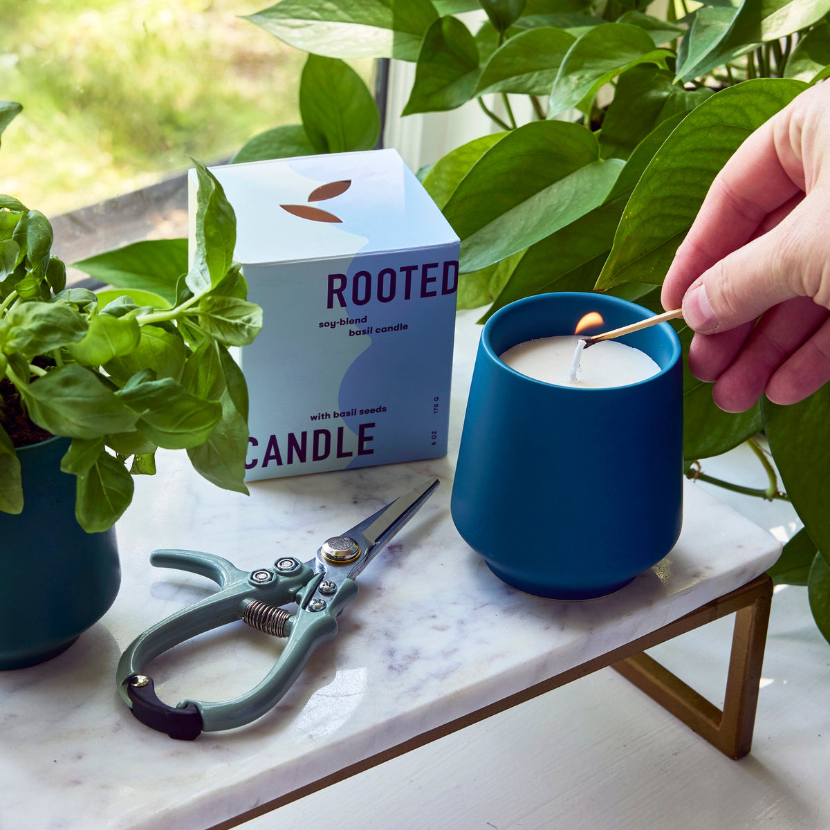 Decorative Candle, Rooted Candles for Living Rooms, Bedrooms and Relaxing Evenings, 4 Plant Type Options image 3