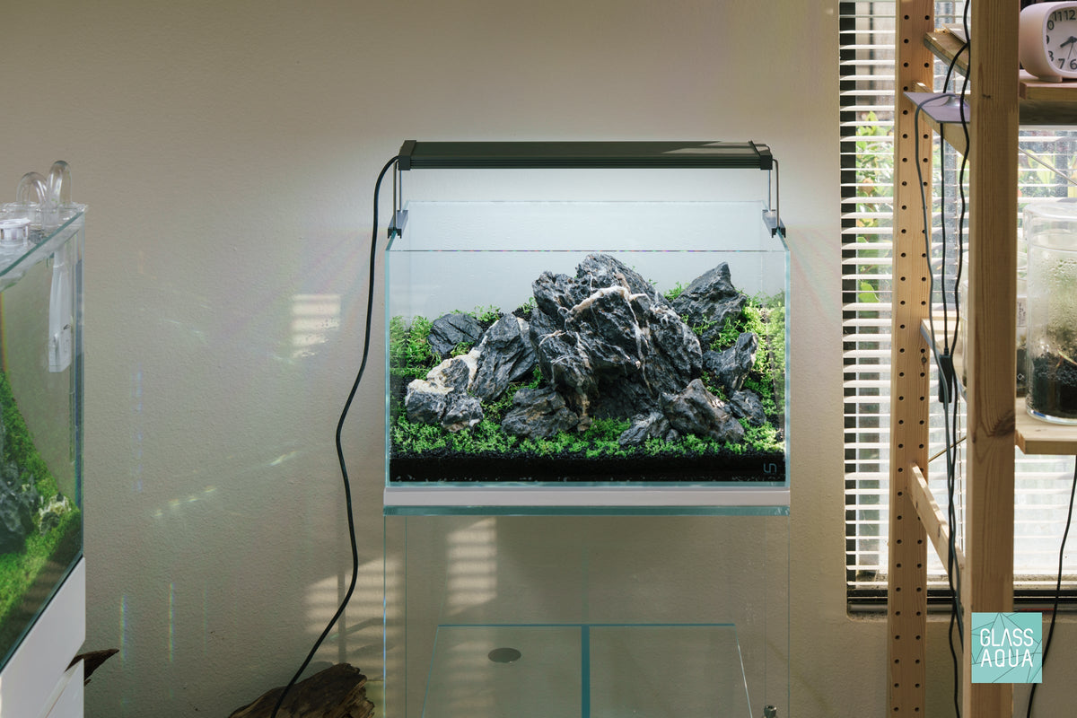 Rimless Glass Aquarium, UNS Standard, Silicone Construction, Rimless Tank Compatible for Planted Tanks, Shrimp Habitats and Aquascaping image 3
