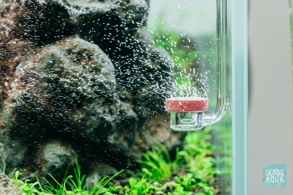Aquarium CO2 Diffuser, Neo Curved Special, Rimless Tank Compatible, Acrylic Construction for Planted Tank CO2 Distribution and Aquascaping image 3