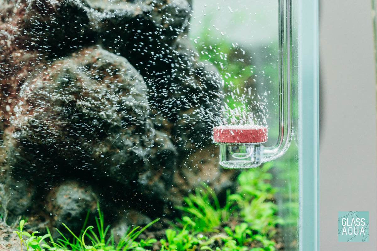 Aquarium CO2 Diffuser, Neo Curved Special, Rimless Tank Compatible, Acrylic Construction for Planted Tank CO2 Distribution and Aquascaping image 3