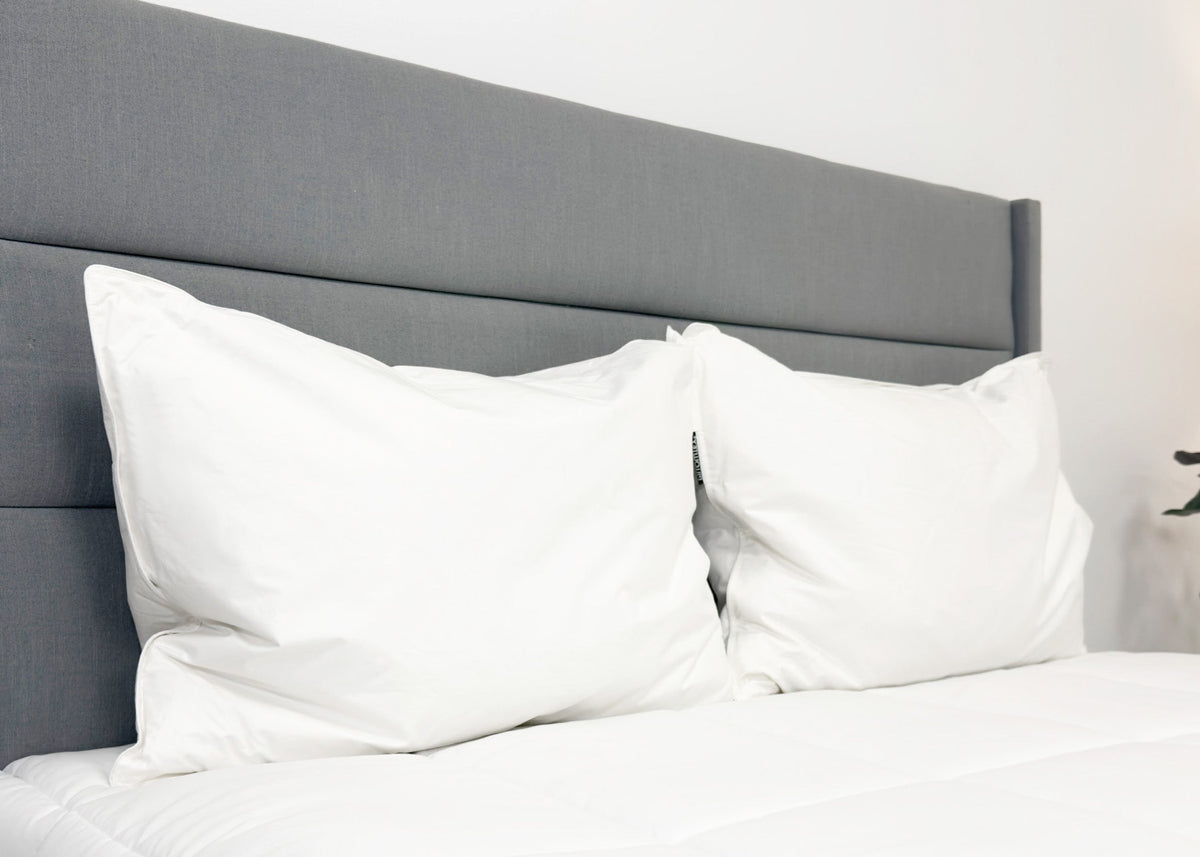 Bed Pillow, Hotel Feather and Down Set (Includes 2 ) for Everyday Sleep and Guest Room Bedding, 3 Size Options image 3