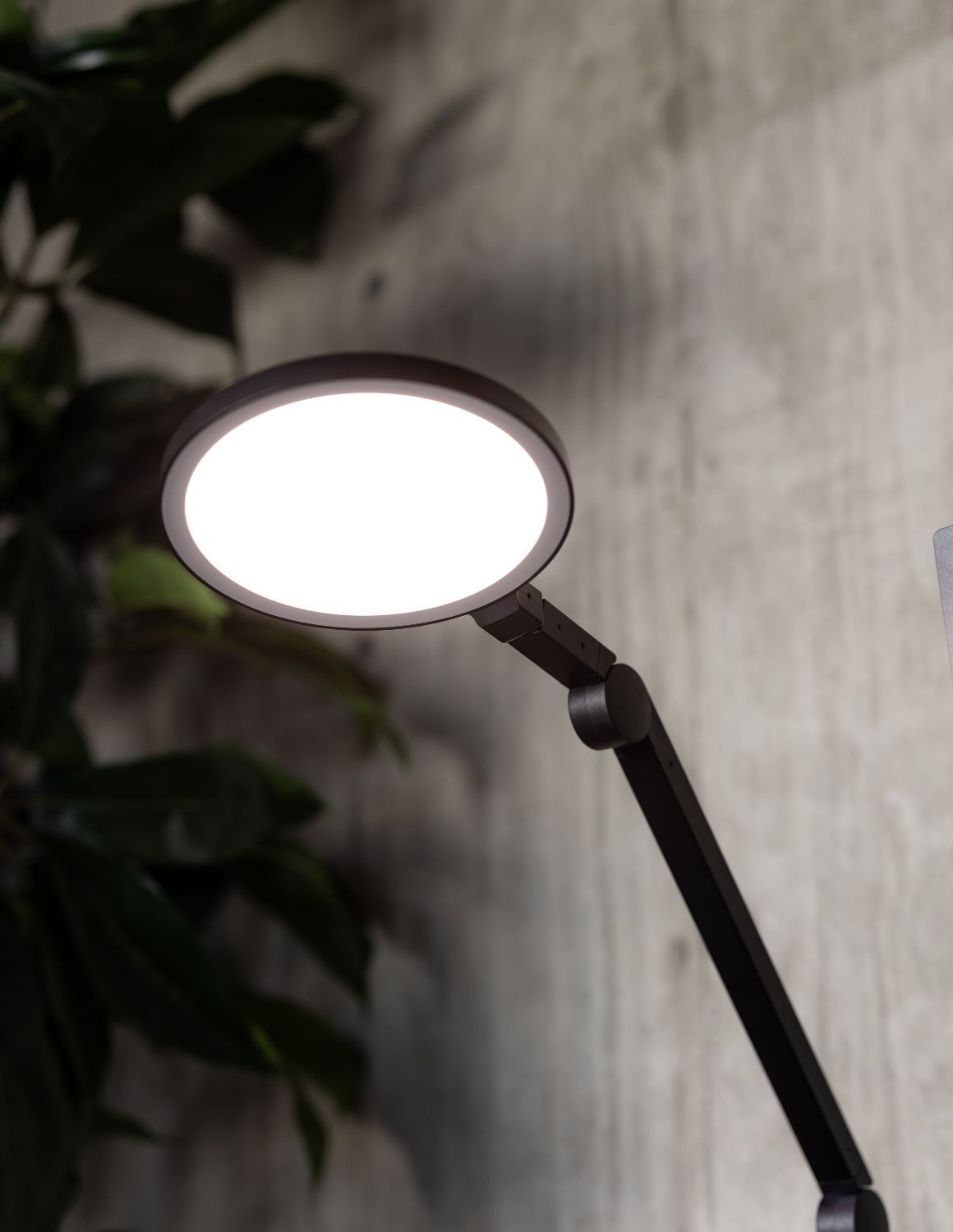 LED Desk Lamp, Edge Light 2.0, Adjustable Design for Home Offices, Reading Desks and Everyday Task Lighting, 2 Color Options image 3