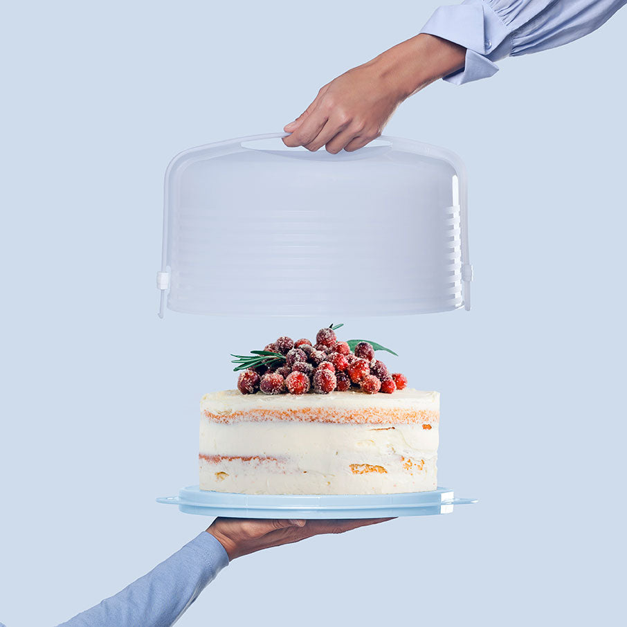 Dinnerware, Cake Taker Round, Dishwasher-Safe Care for Everyday Meals and Table Settings, Designed for Everyday Home Use image 3