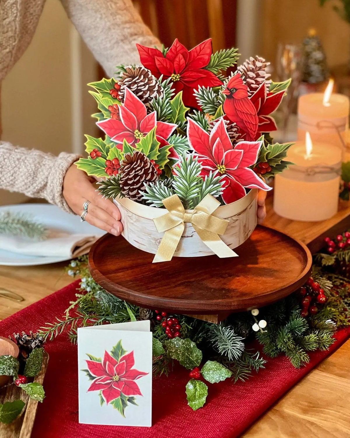 Indoor House Plant, Birch Poinsettia for Windowsills, Home Offices and Indoor Decor, Designed for Shelves, Desks and Living Spaces image 3