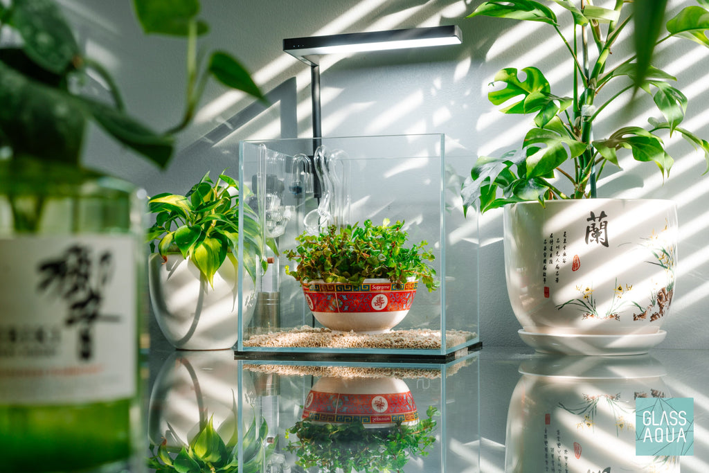 Rimless Glass Aquarium, UNS Cube, Silicone Construction, Rimless Tank Compatible for Planted Tanks, Shrimp Habitats and Aquascaping image 3