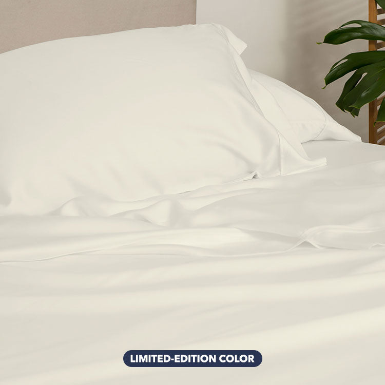 Pillowcase, Arctic Aire•MAX Morning Ivory for Everyday Bedding and Bedroom Refreshes, 2 Size Options image 3