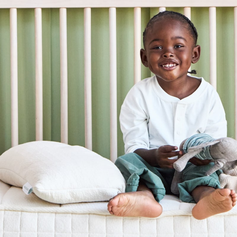 Bed Pillow, Organic Toddler, Breathable Construction for Sleeping, Reading and Bedroom Comfort, 2 Options image 3