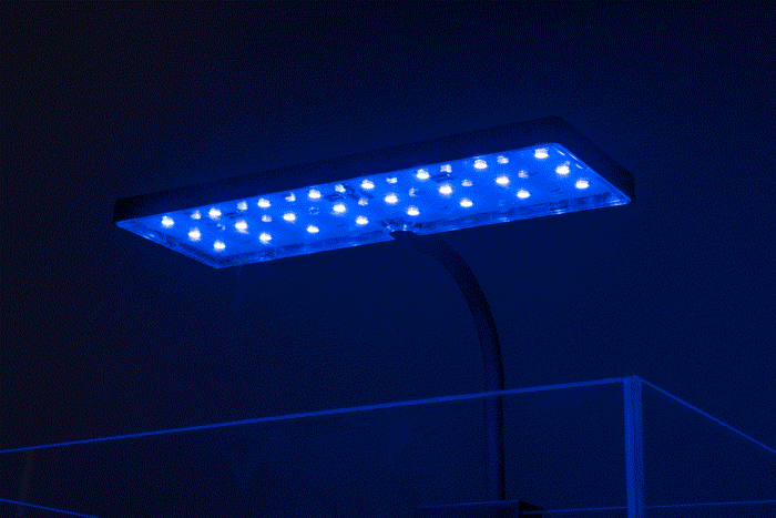 Aqua Worx EOS Nano LED Light image 3