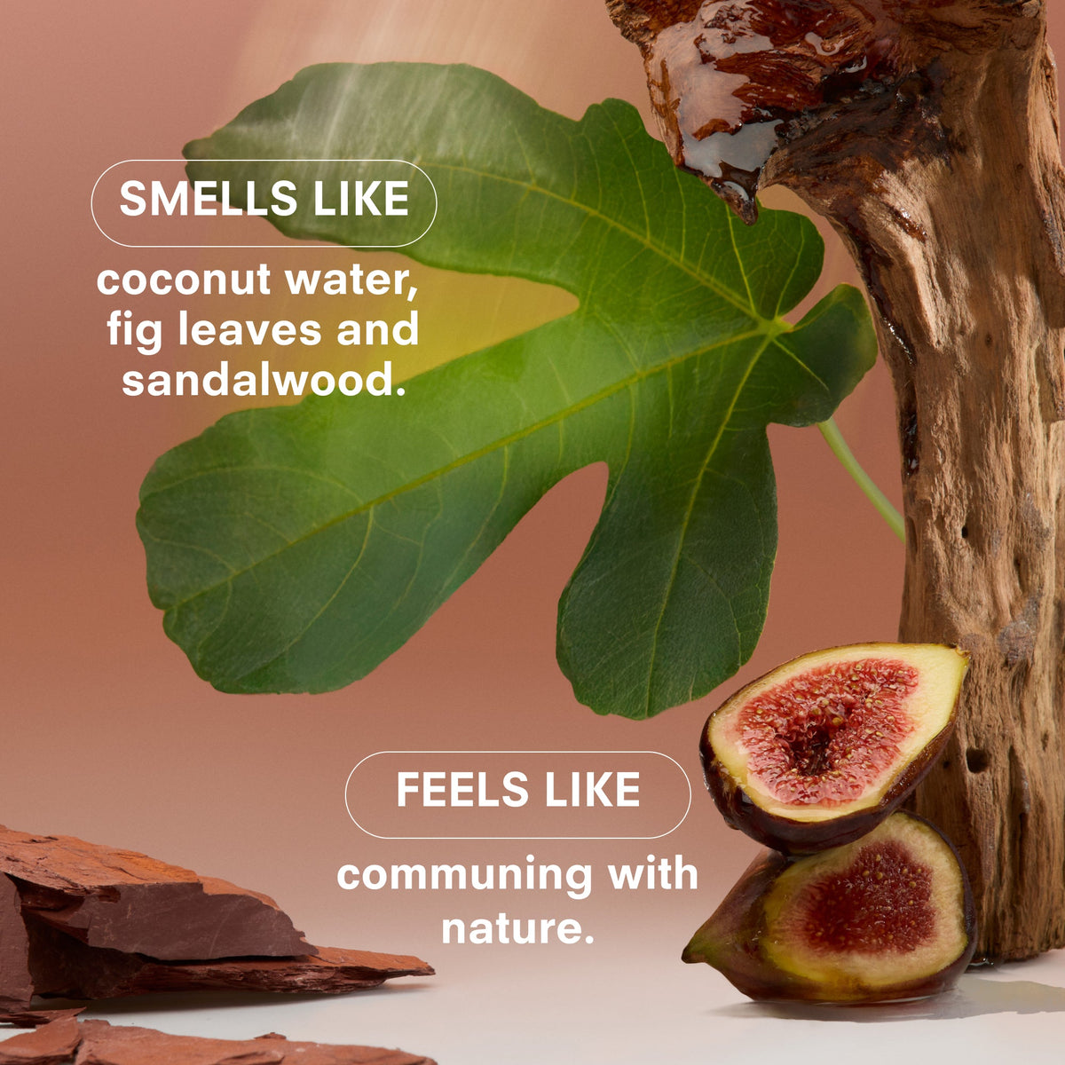 Reed Diffuser, WOODPHORIA for Living Rooms, Bathrooms and Everyday Home Ambience, Designed for Everyday Home Use image 3