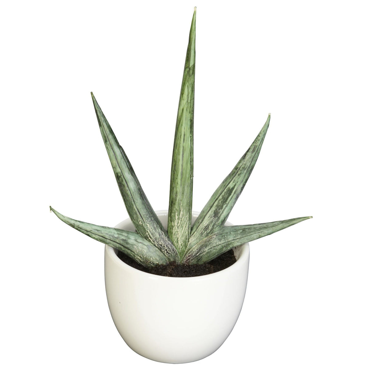 Indoor House Plant, Southwest Artificial Succulent Collection Set for Shelves, Desks and Living Spaces image 3