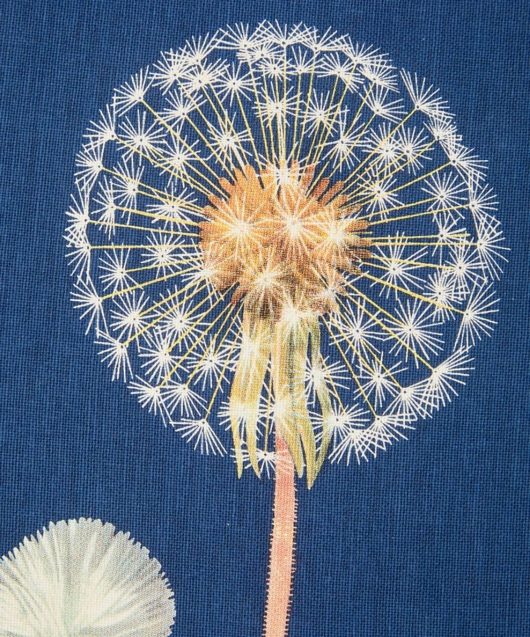 Kitchen Tea Towel Set, Dandelion Vintage Botanical Illustration for Dish Drying, Kitchen Cleanup and Everyday Home Use image 4