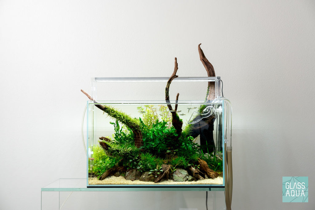 Rimless Glass Aquarium, UNS Standard, Silicone Construction, Rimless Tank Compatible for Planted Tanks, Shrimp Habitats and Aquascaping image 4