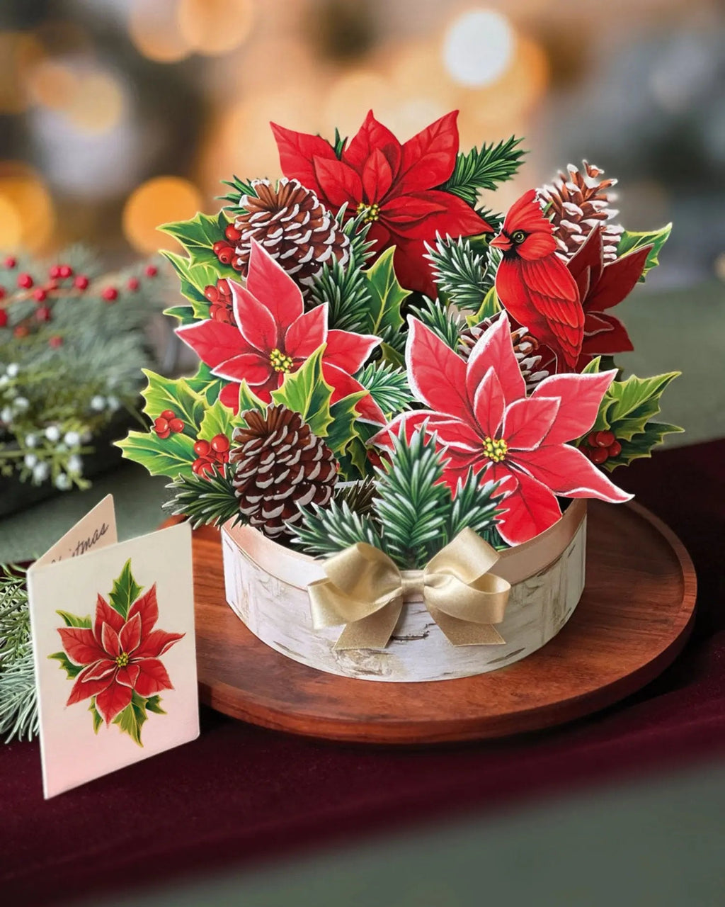 Indoor House Plant, Birch Poinsettia for Windowsills, Home Offices and Indoor Decor, Designed for Shelves, Desks and Living Spaces image 4